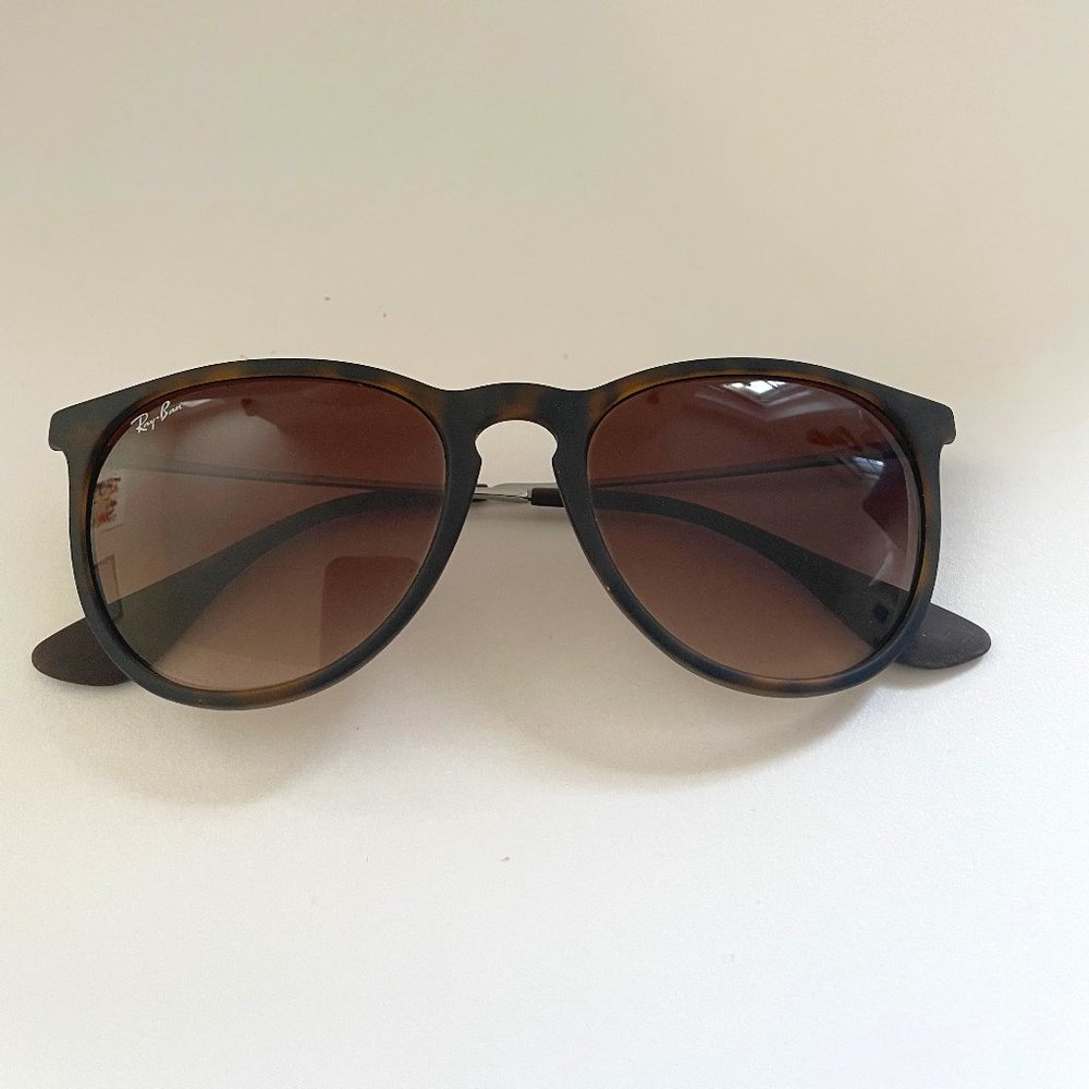 Ray-Ban Erika Sunglasses